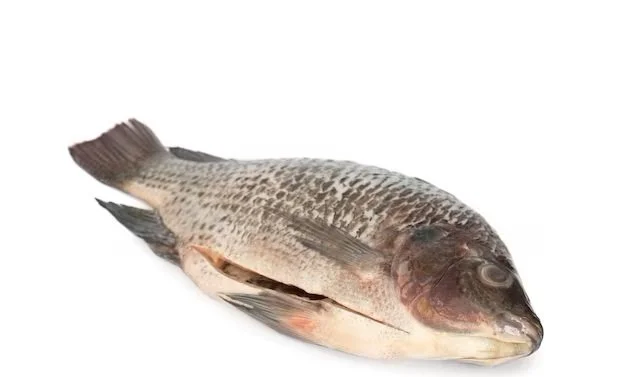 Gutted & Scaled Tilapia