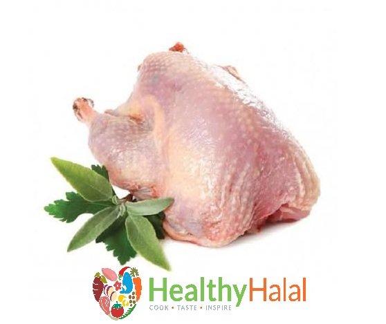 Halal Whole Pigeon
