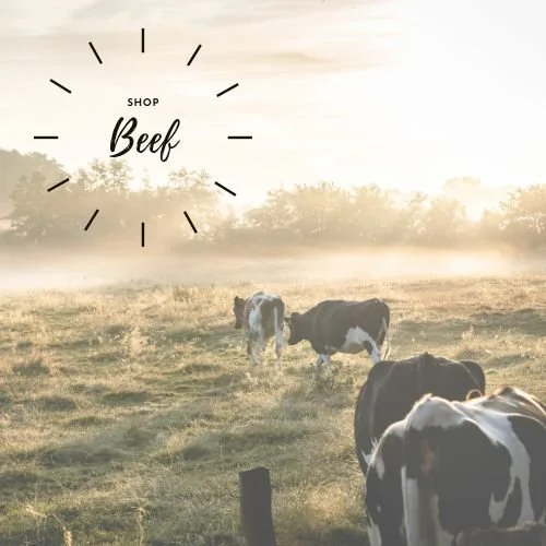 Shop Fresh Halal Beef Meat - Healthy Halal