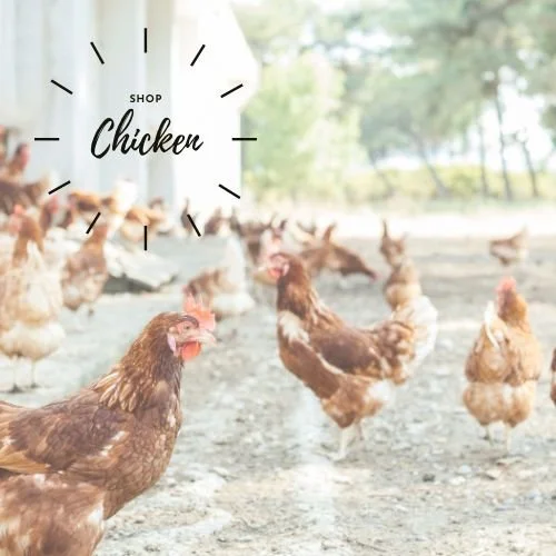 Shop Fresh Halal Chicken Meat - Healthy Halal