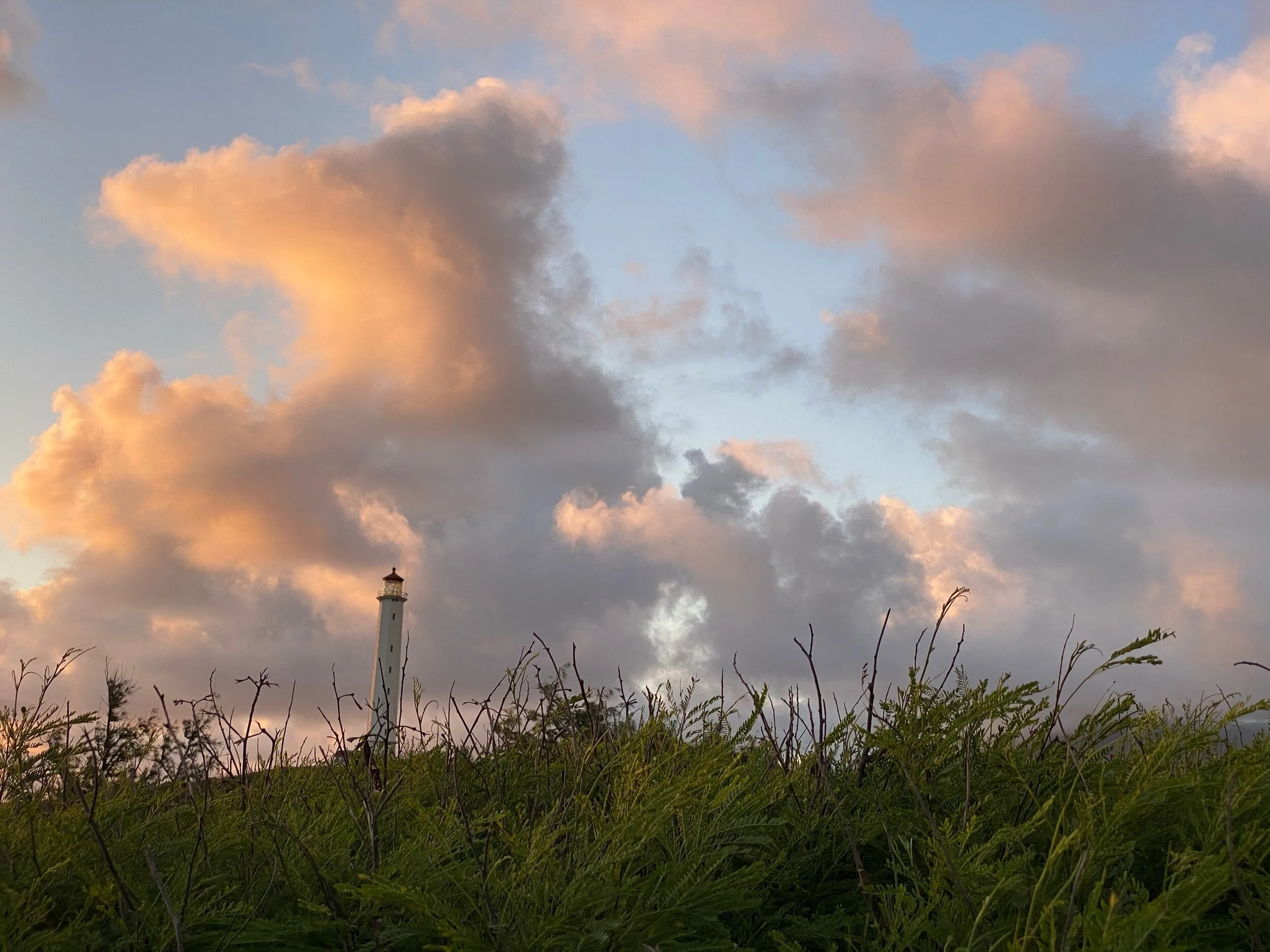 What is lost, what is found | Emily — has anything changed?