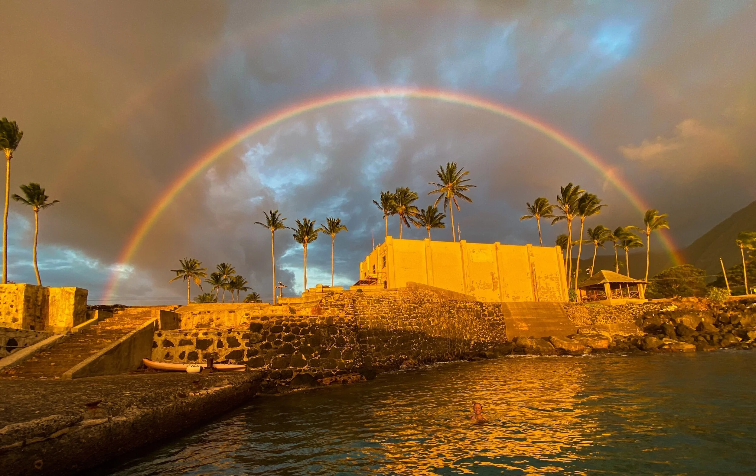 Oral Histories of COVID 19, an update from Emily