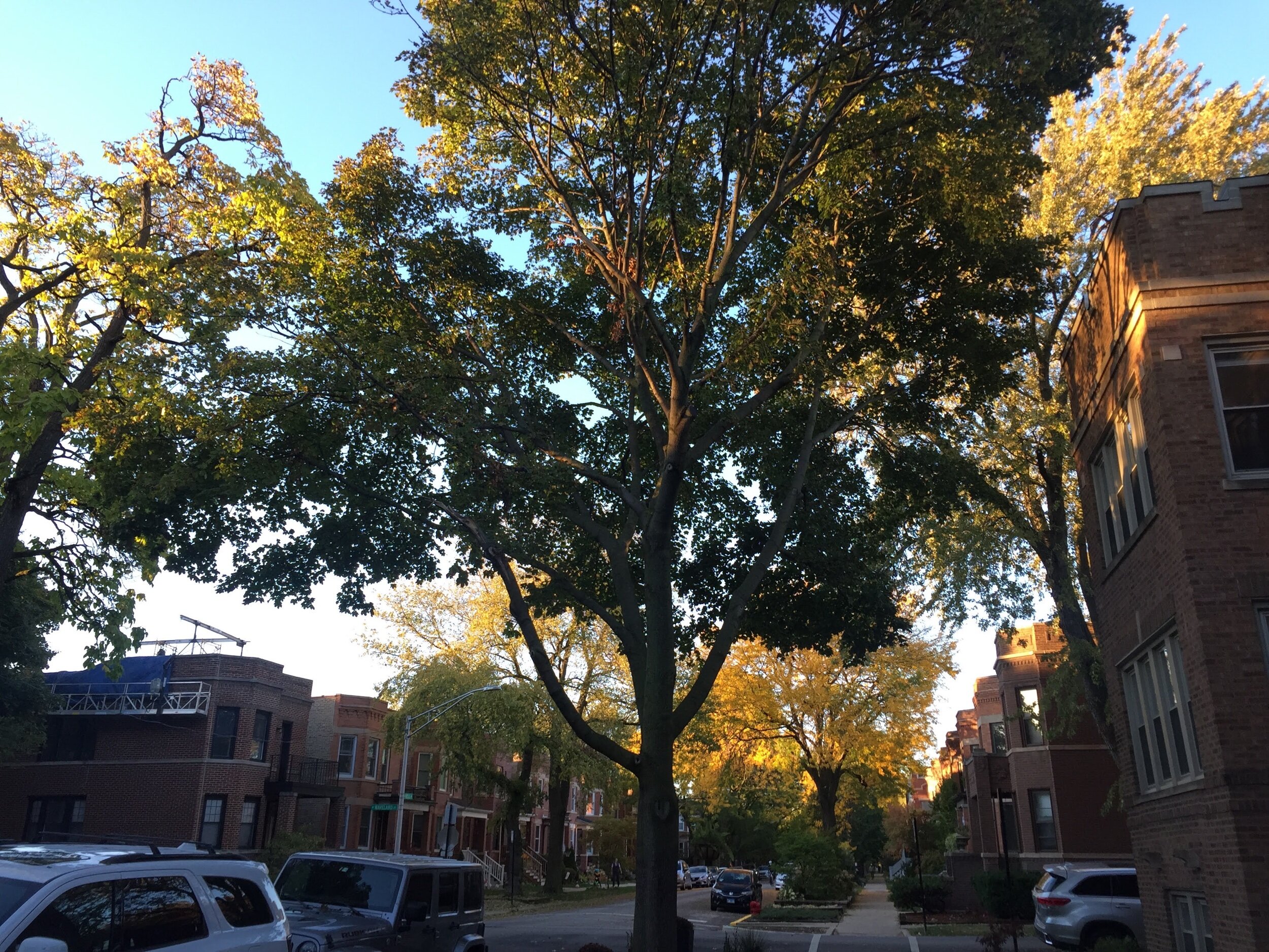 IMG_1516.jpeg