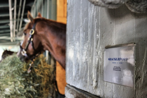 shackleford_sign10-26-12.jpg