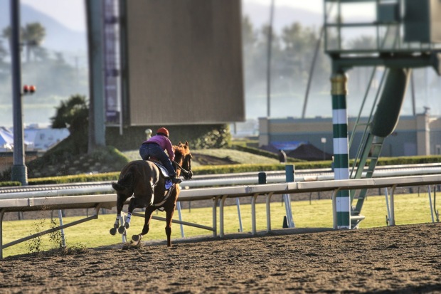 shackleford_rearview10-29-12.jpg