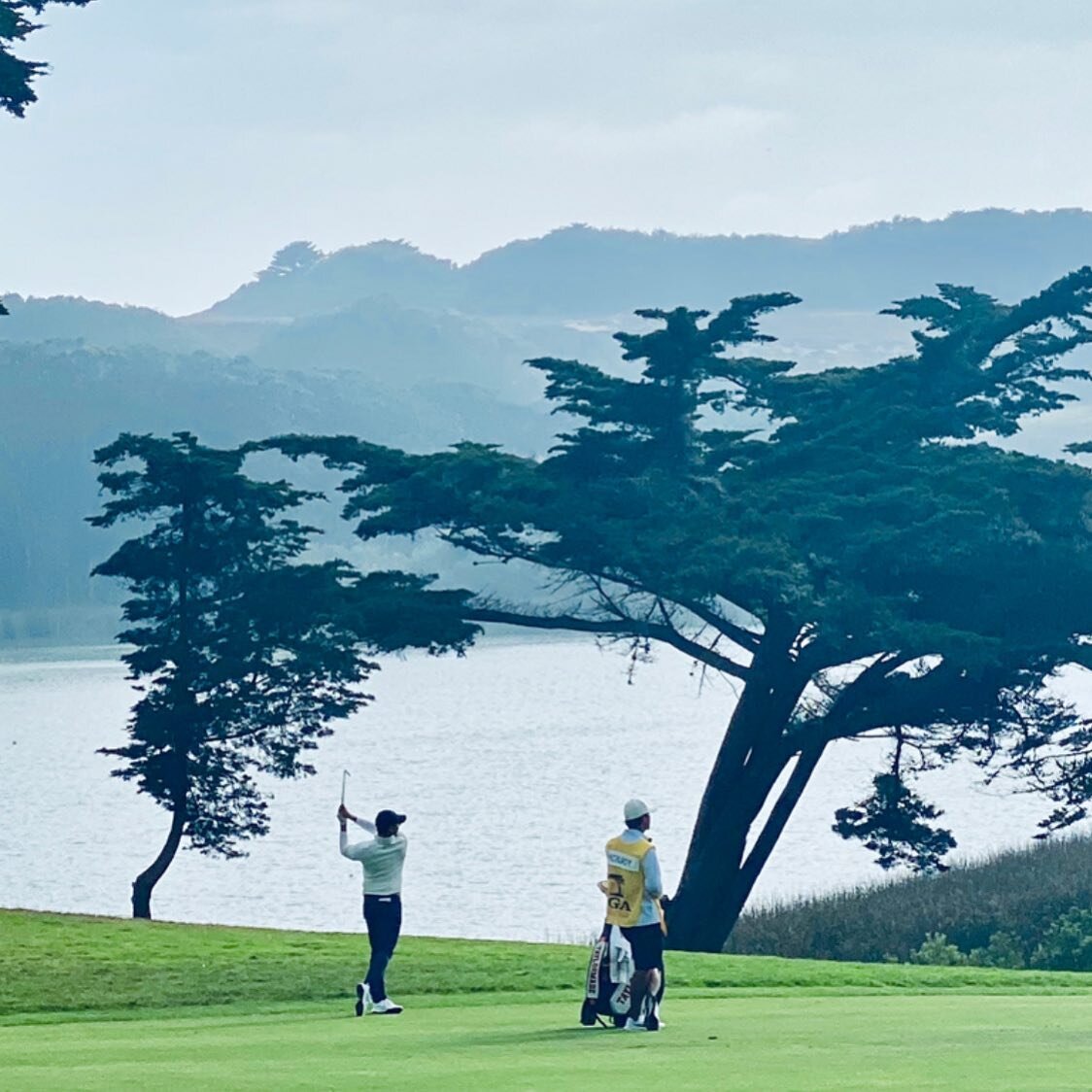 @rorymcilroy, 15th fairway, 2020 @pgachampionship @tpchardingpark. Hoganesque!