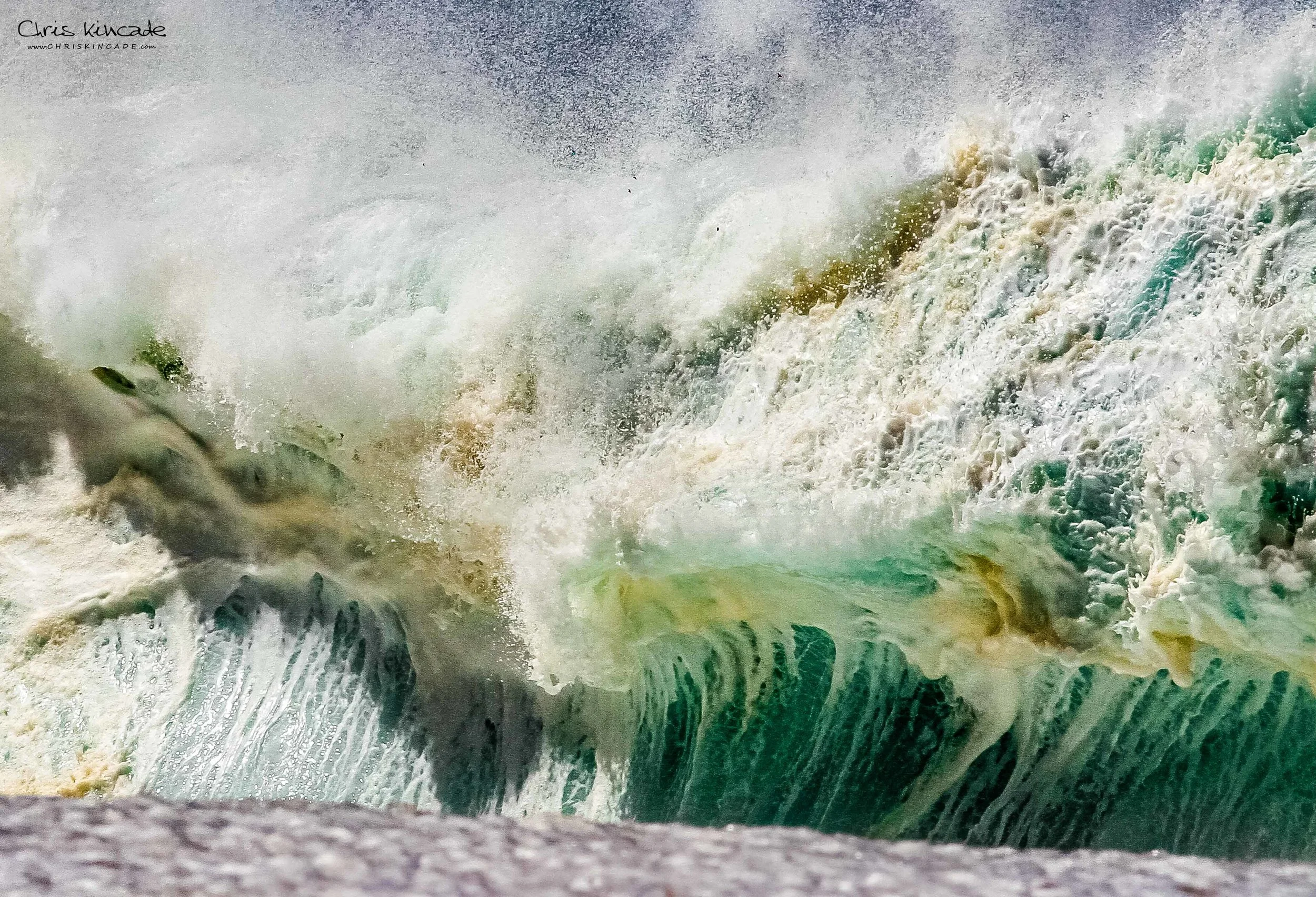 Mutant Shorey