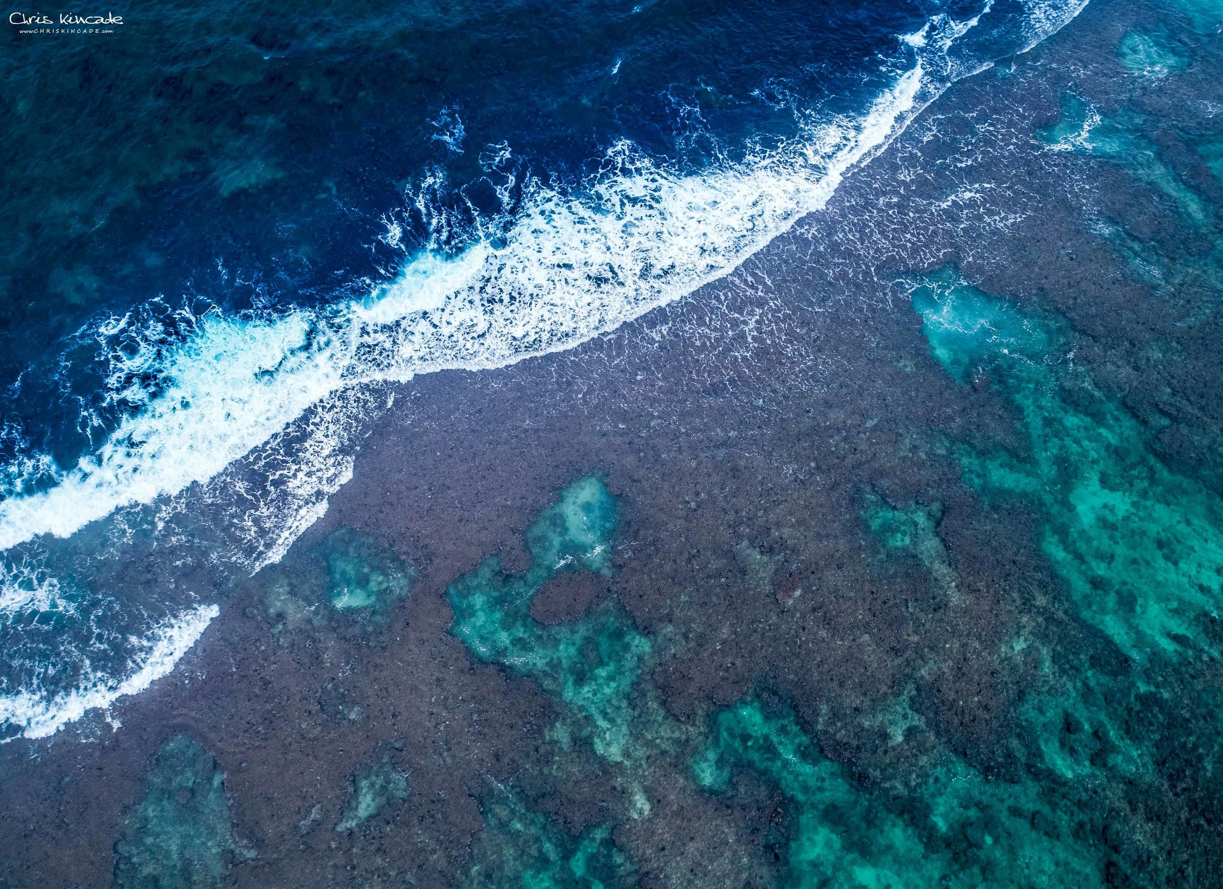GLOWING REEF