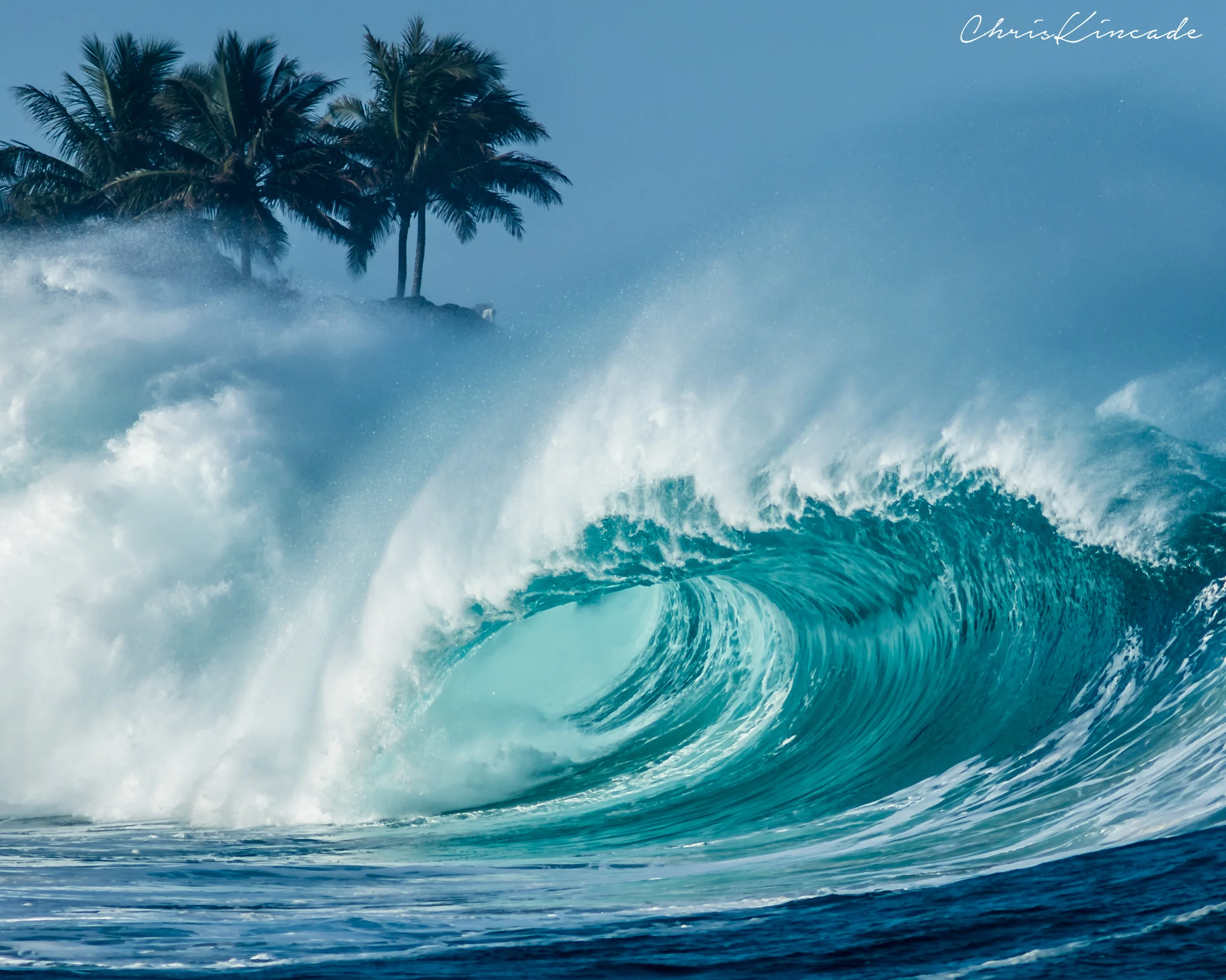 Perfect Waimea Bay