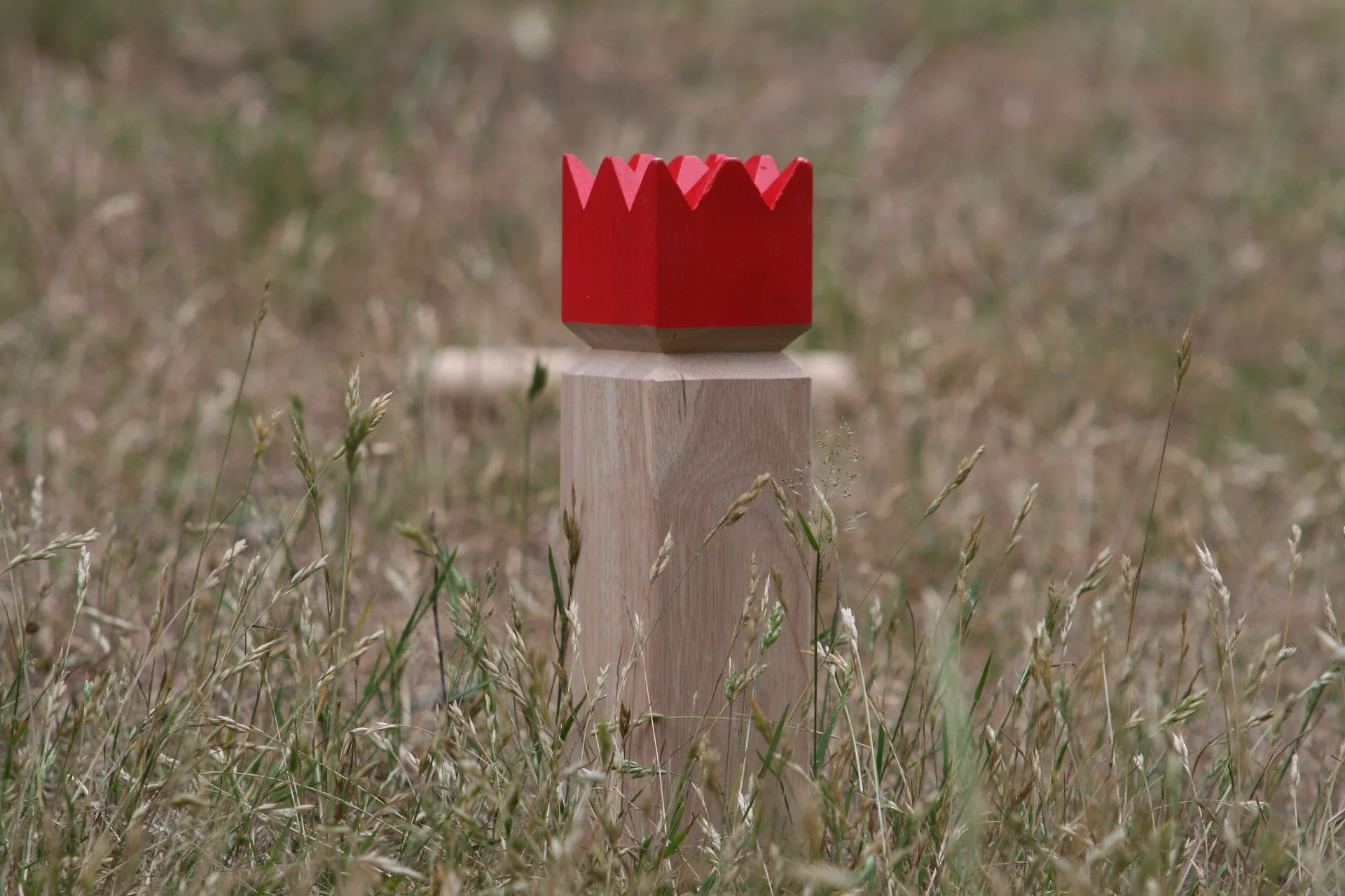 meadow-809733_1920.jpg