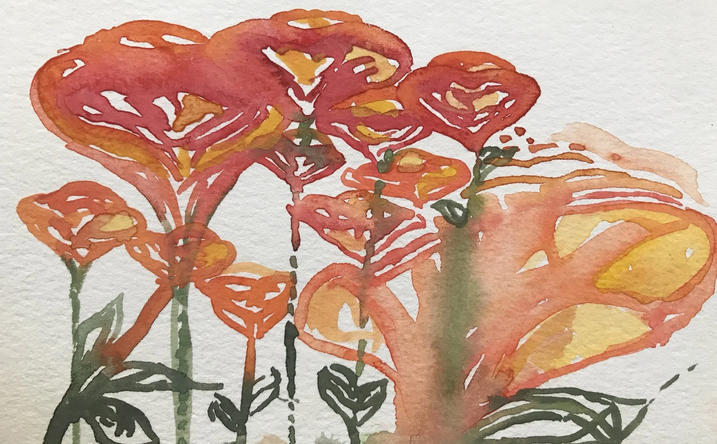 California Poppy.jpeg