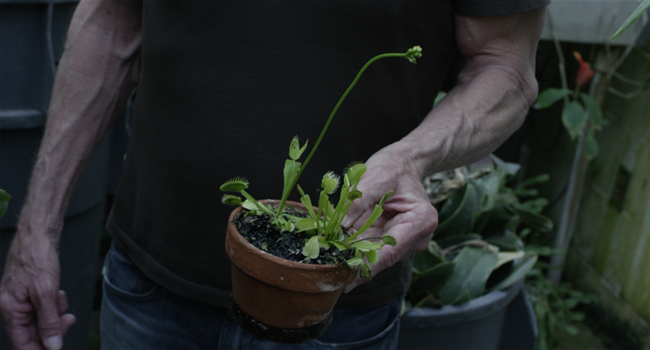 The Gardener