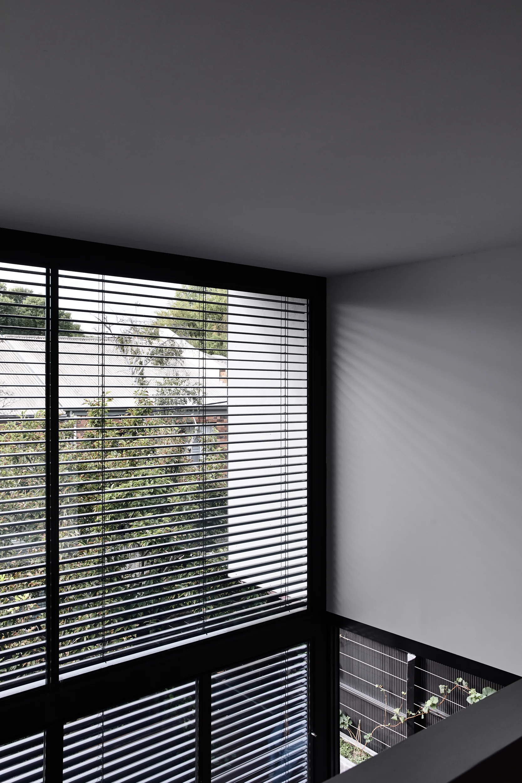 EAA North Melbourne 10