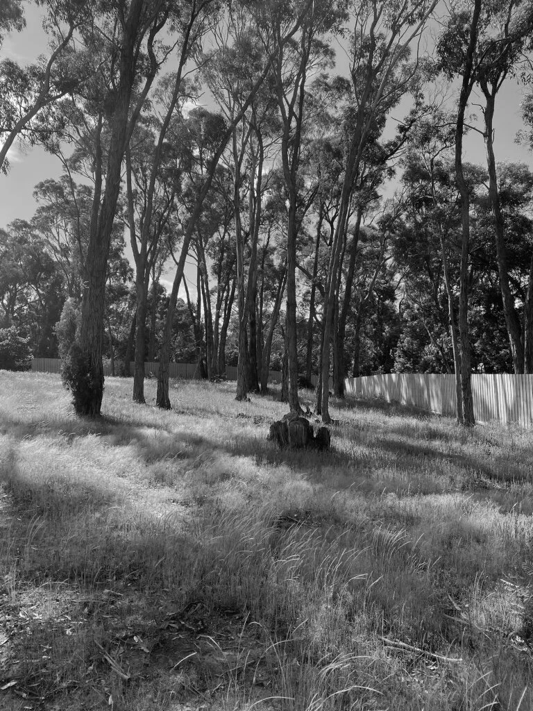 EA Brown Hill 03.jpg