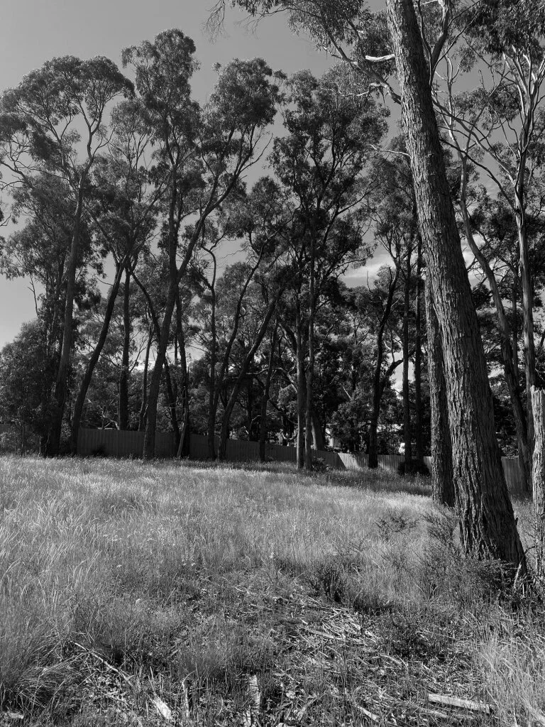 EA Brown Hill 04.jpg