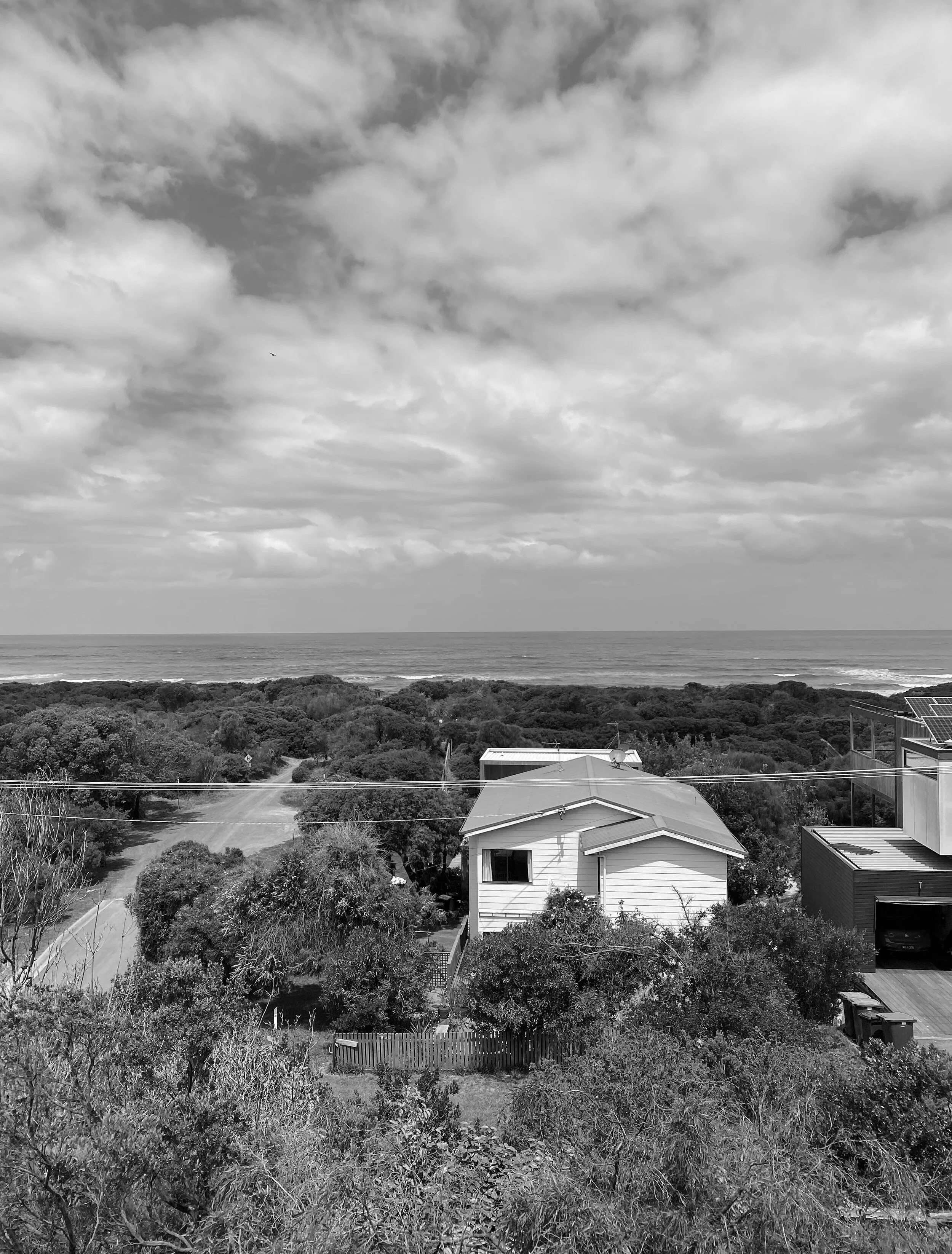 IMG_4461bw.jpg
