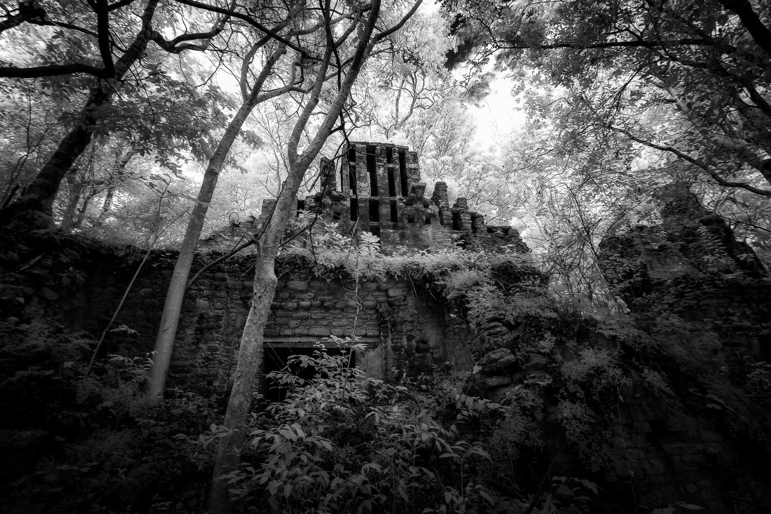 Xpuhil II from Below