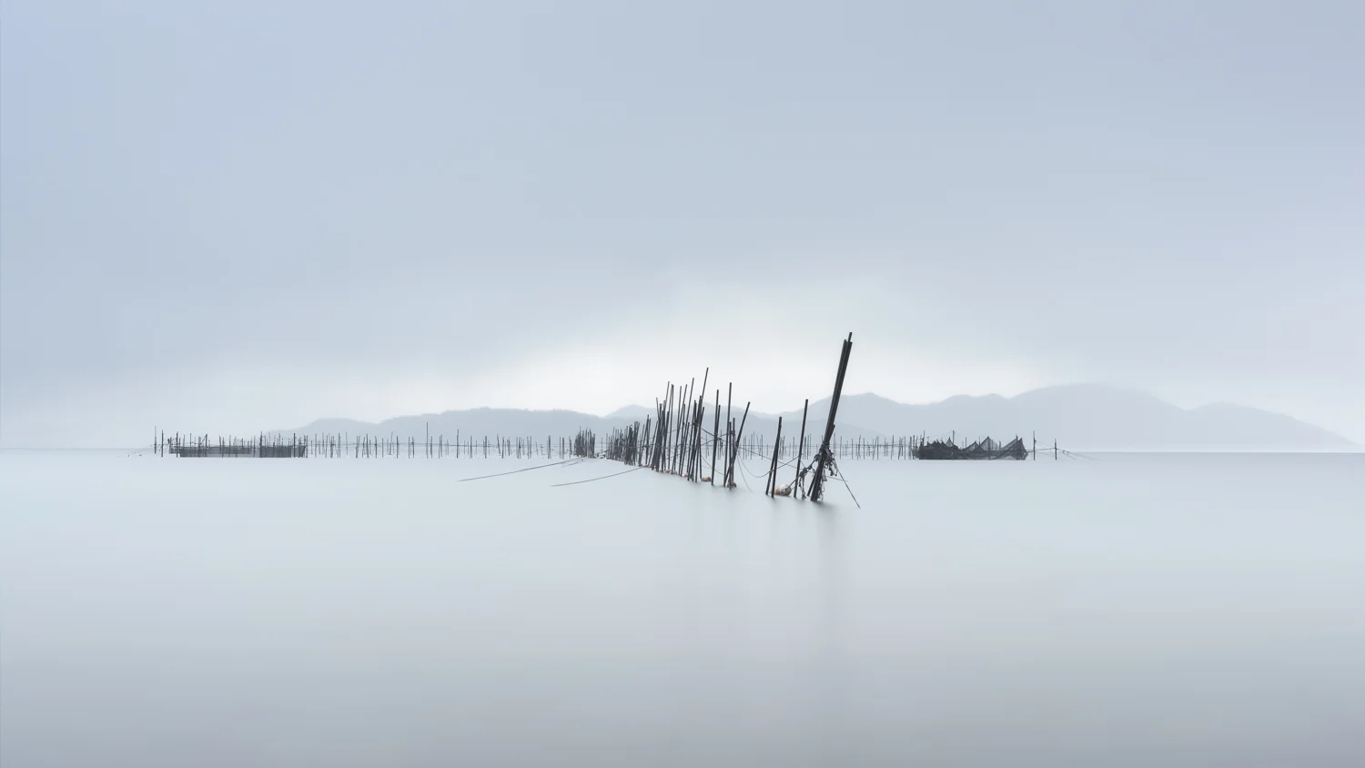 Lake Biwa Nets II