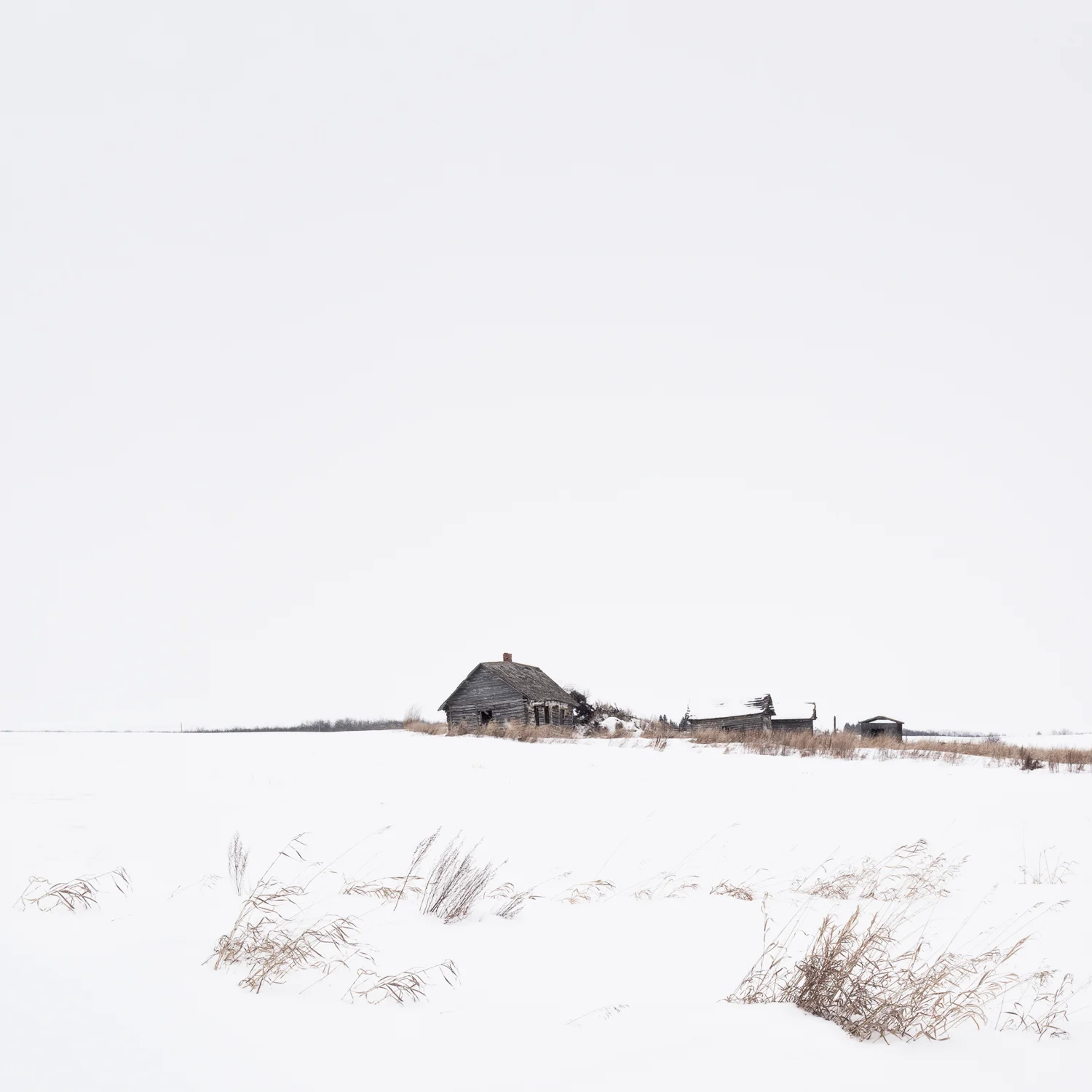 Prairie Winter I