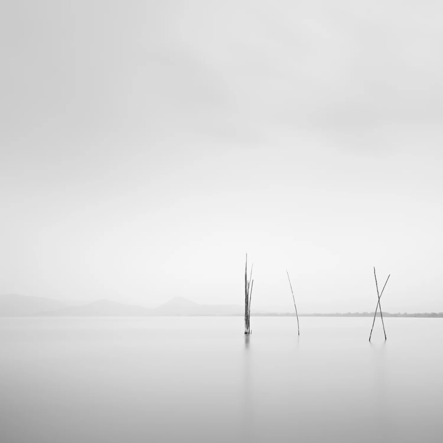 Lago Trasimeno II