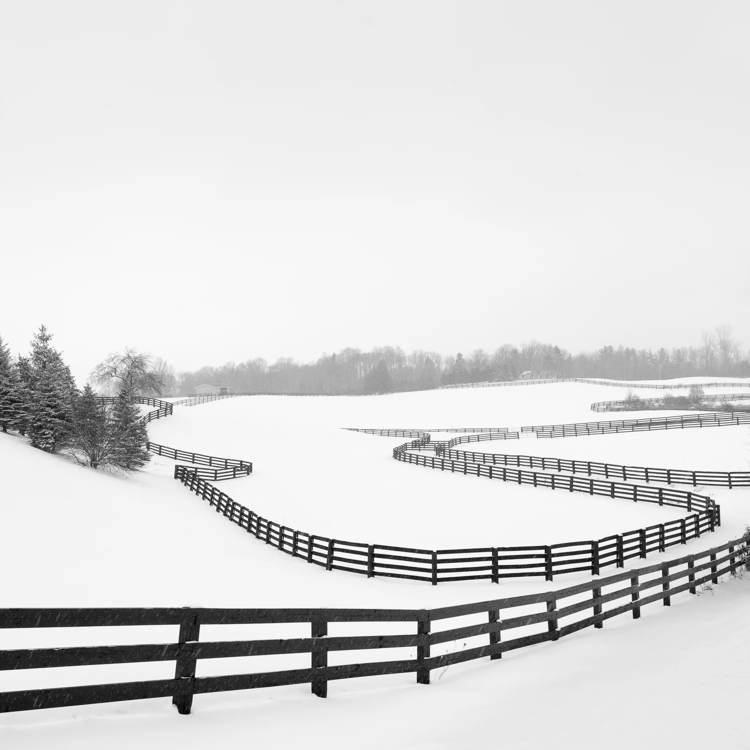 TorontoWinter-2188-Edit-2.jpg