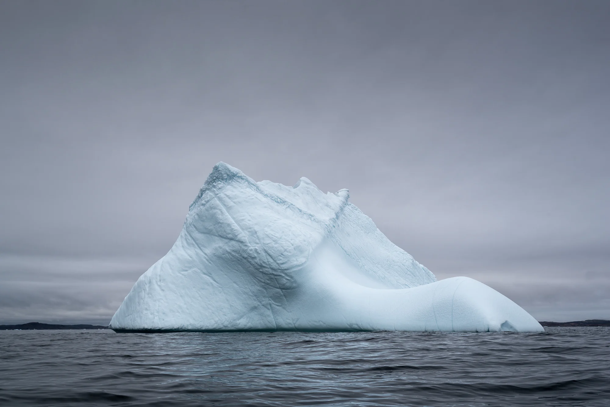 Newfoundland Iceberg III