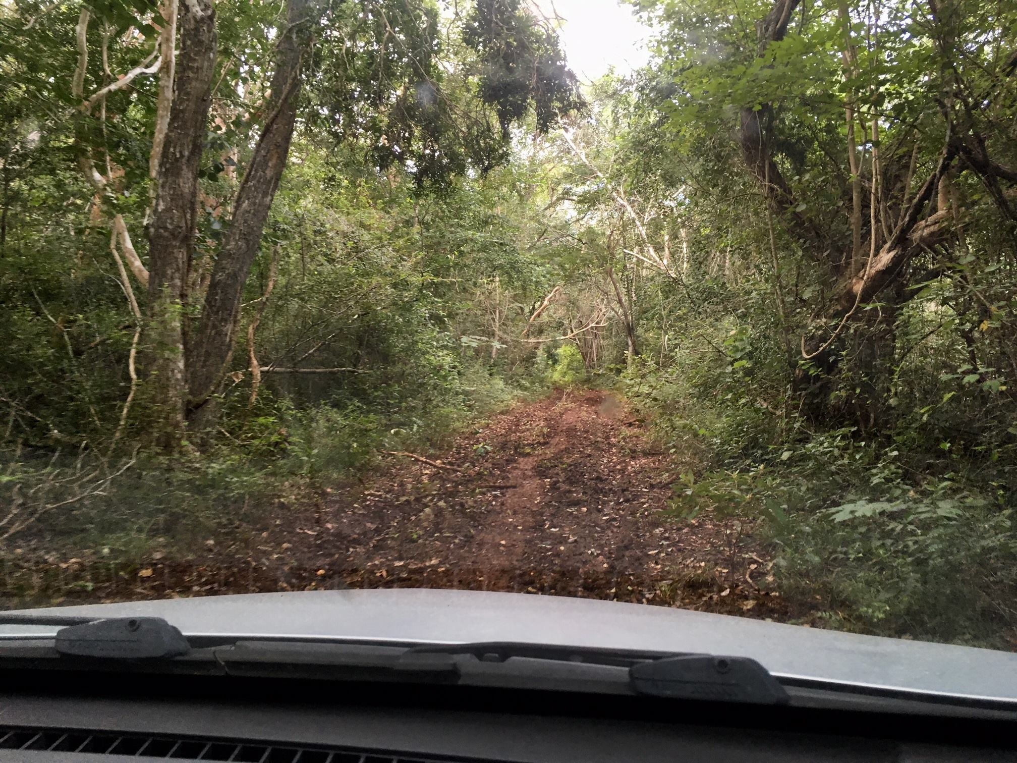 At this point, the road was still OK.