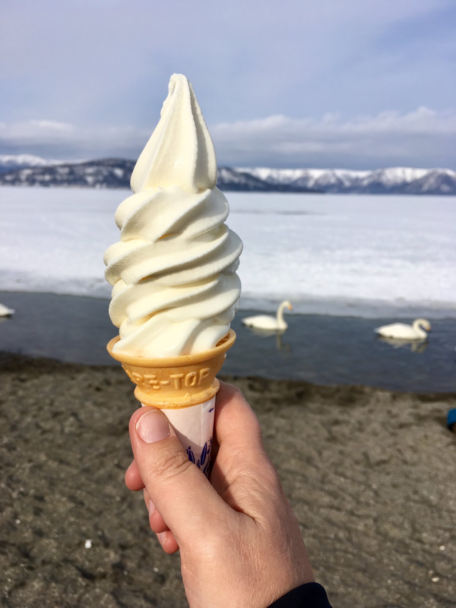 Ice and swans. Another warm day - around 0 most of the day. Certainly warm enough for ice cream!