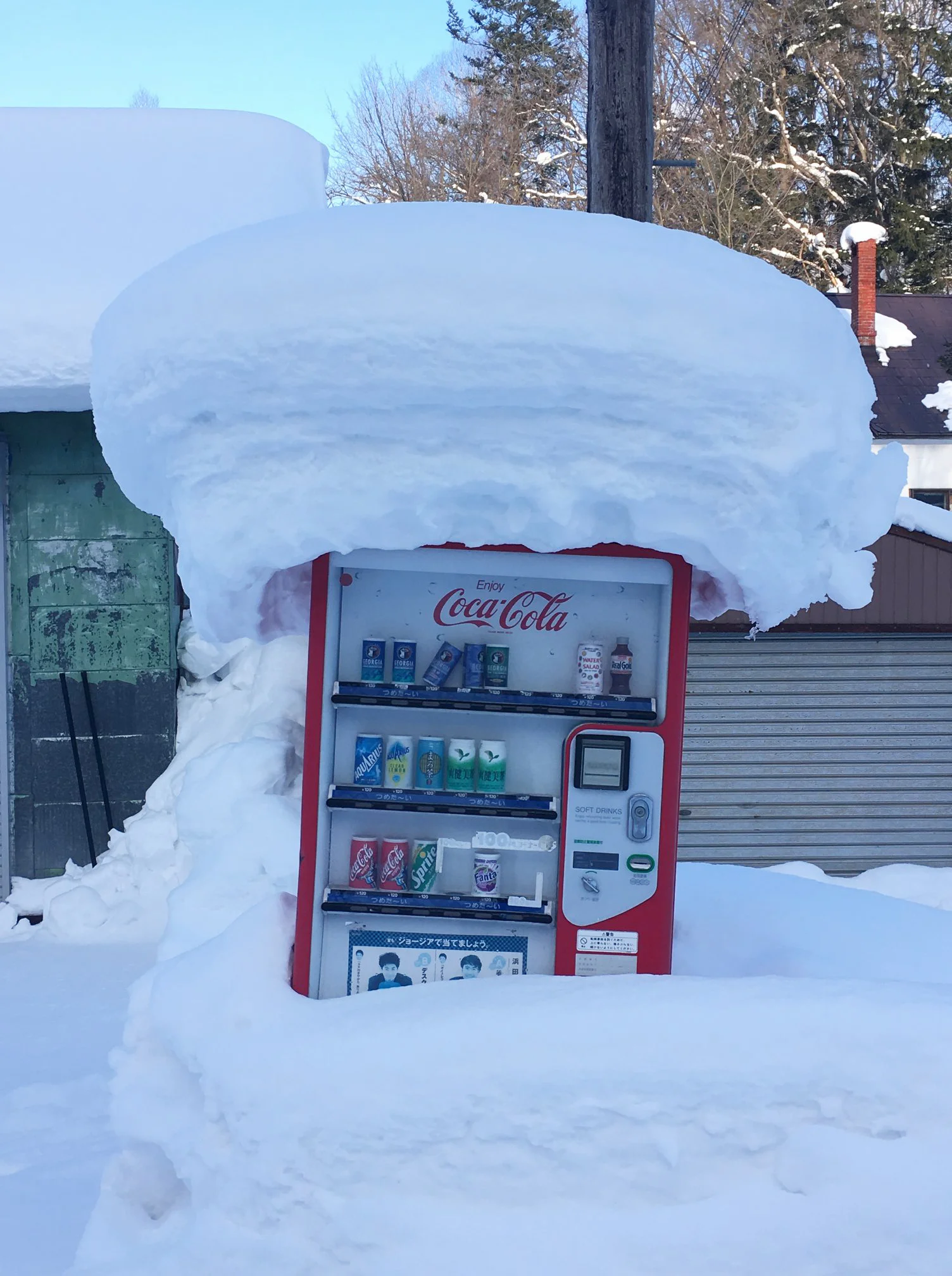 Japan has the highest density of vending machines in the world (1 machine for every 23 people). I loved the outdoor machines we found in Hokkaido, many of them piled up with snow.