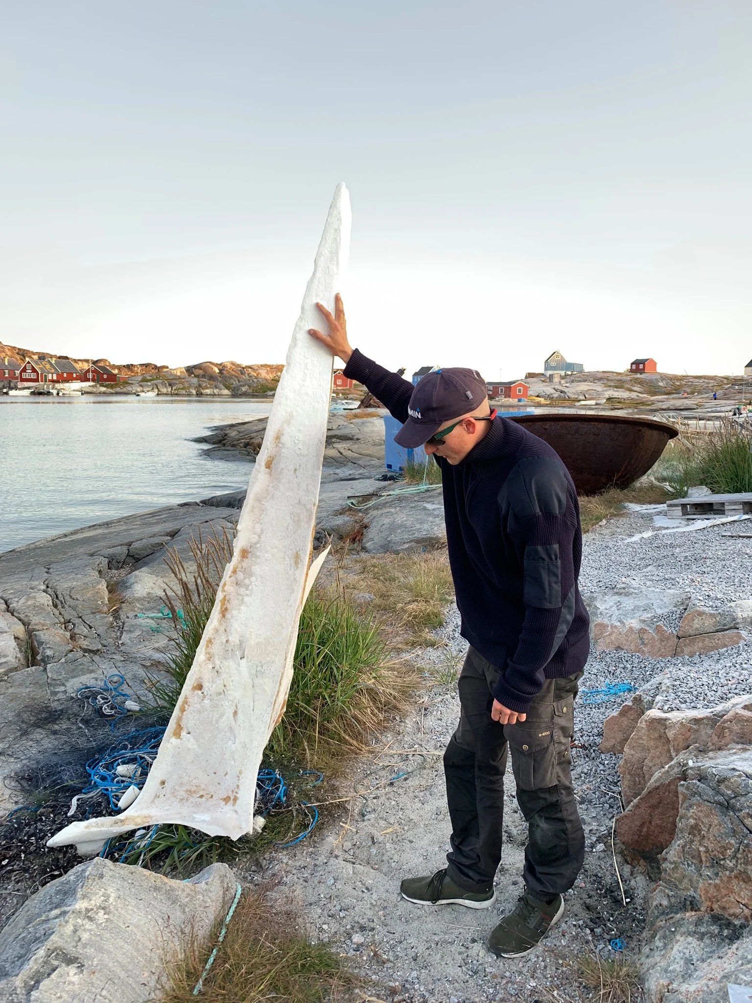 The first mate holding up a whale jawbone in Oqaatsut (Rodebaai).