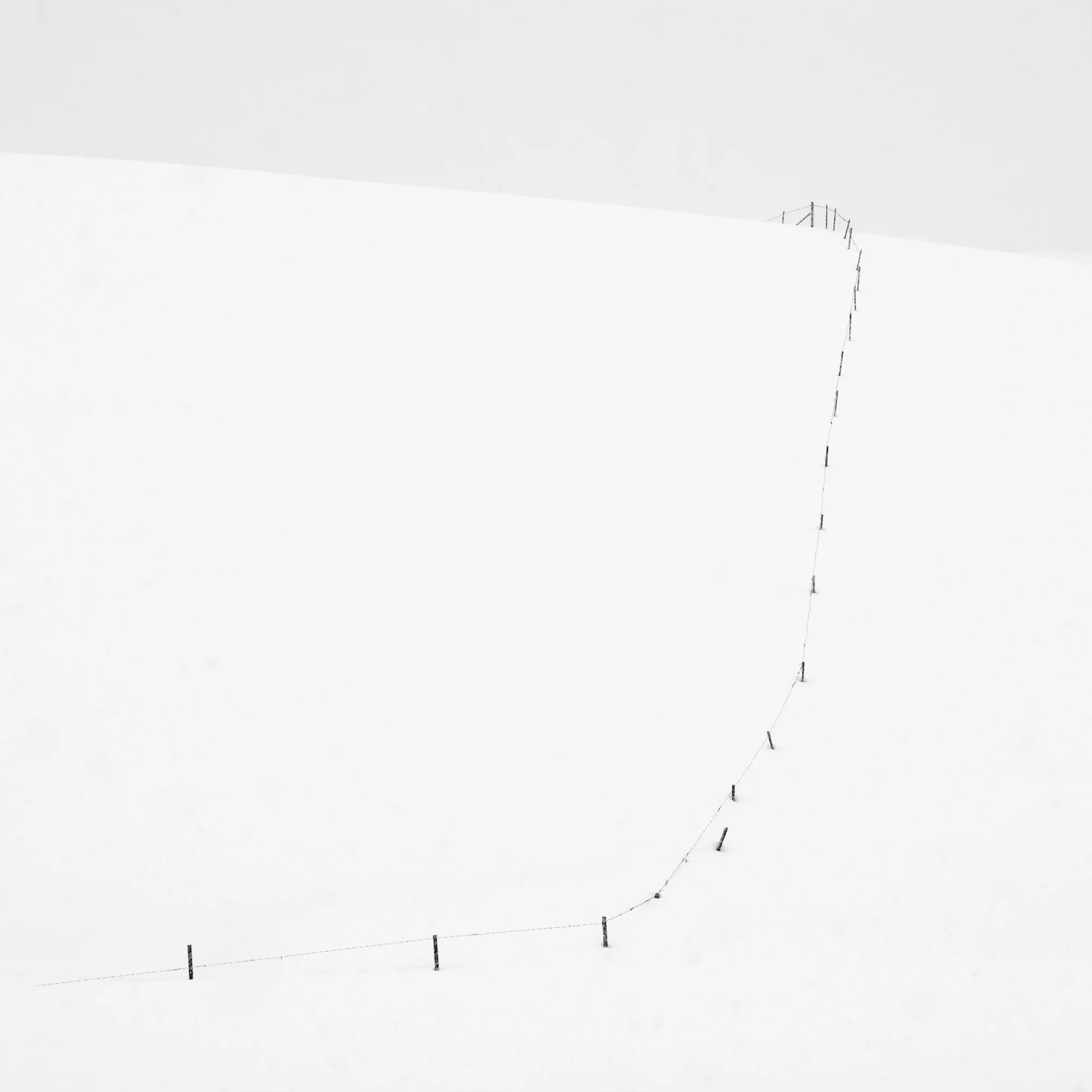 Snow Fence