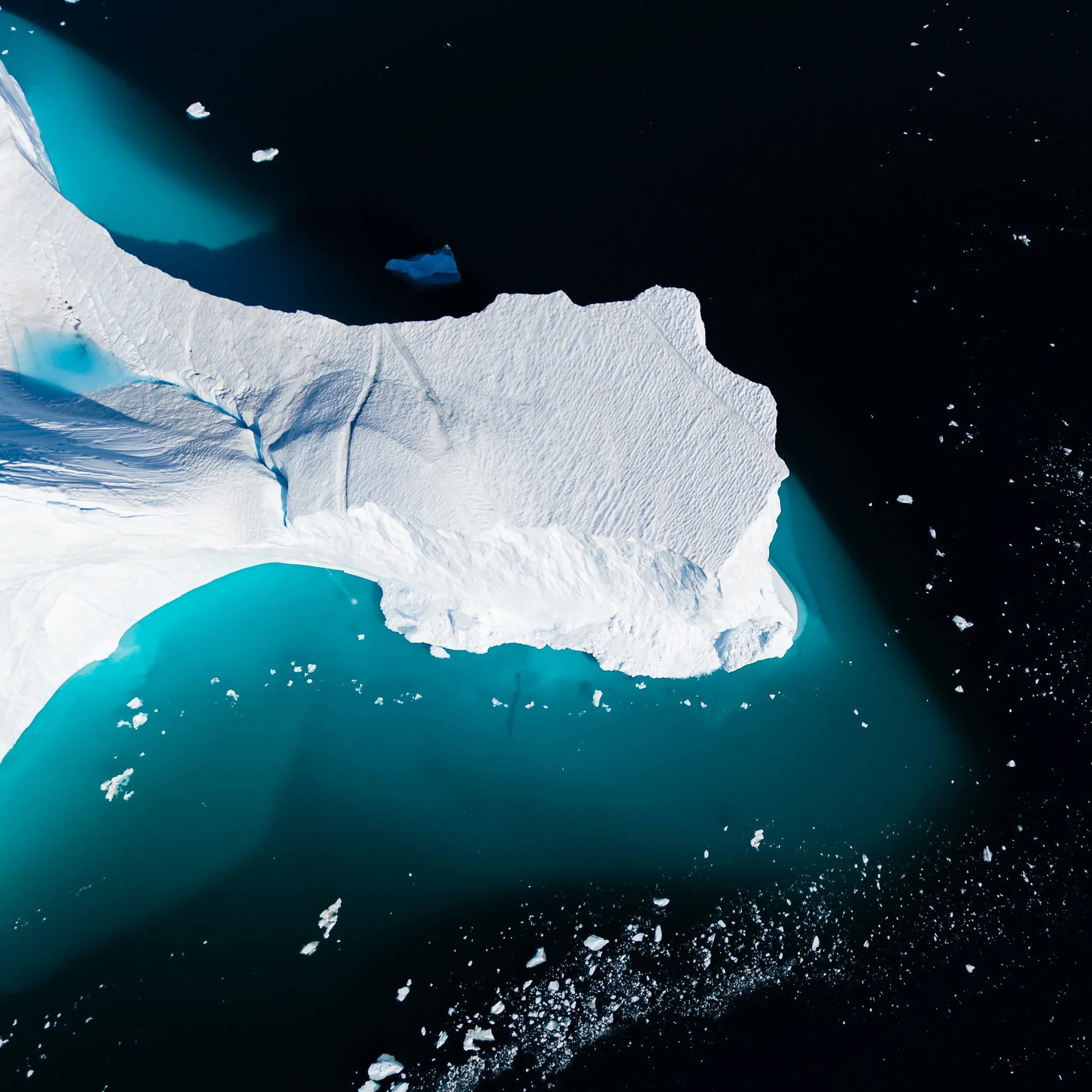 Iceberg from Above I