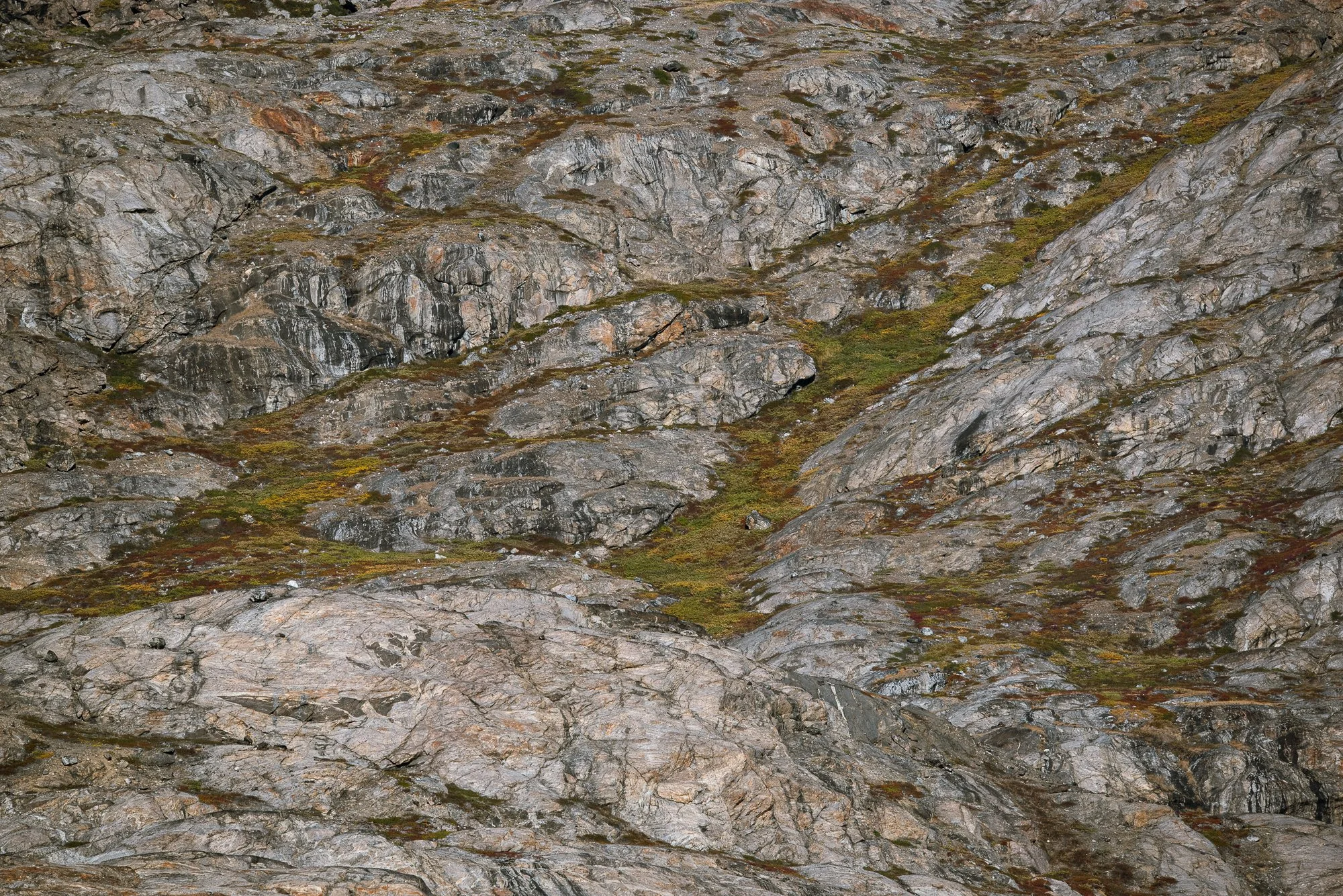 Cliffside Details V