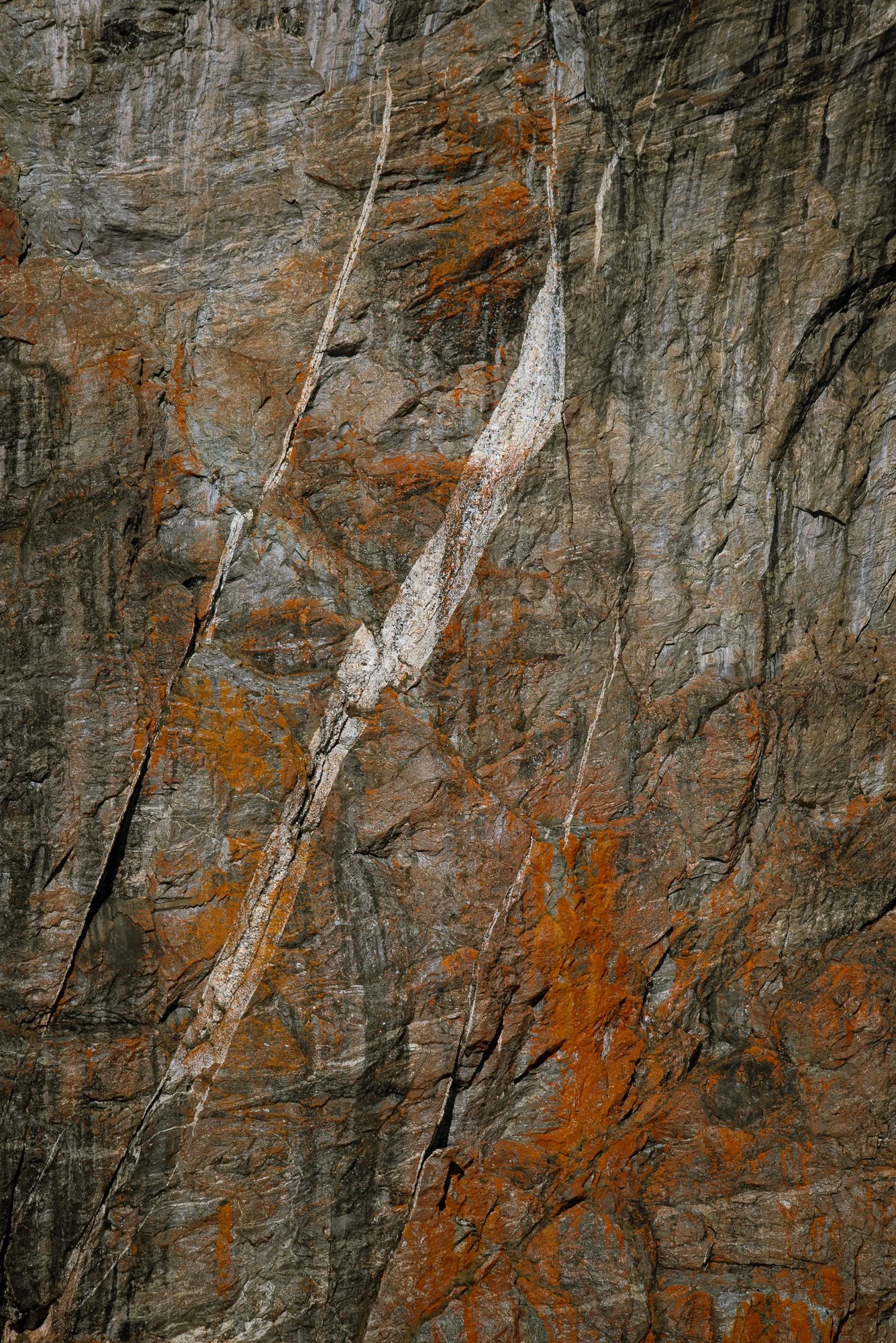 Cliffside Details II