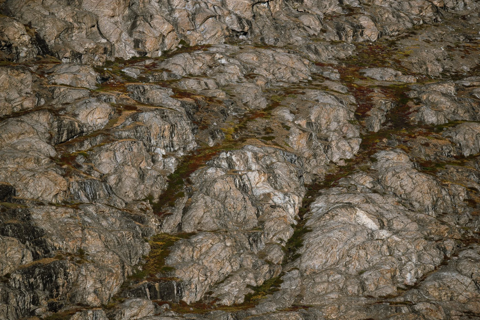 Cliffside Details IV