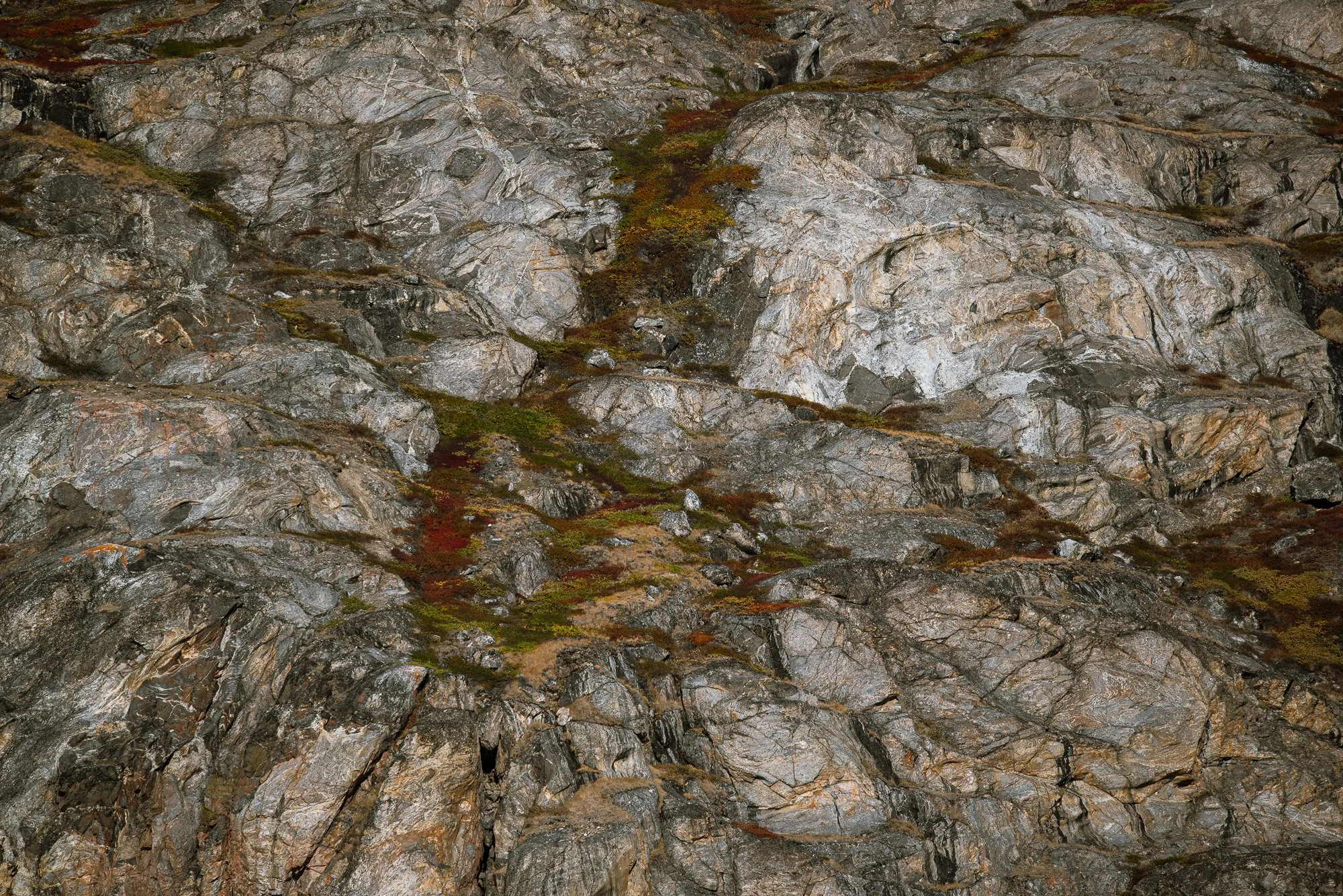 Cliffside Details VI