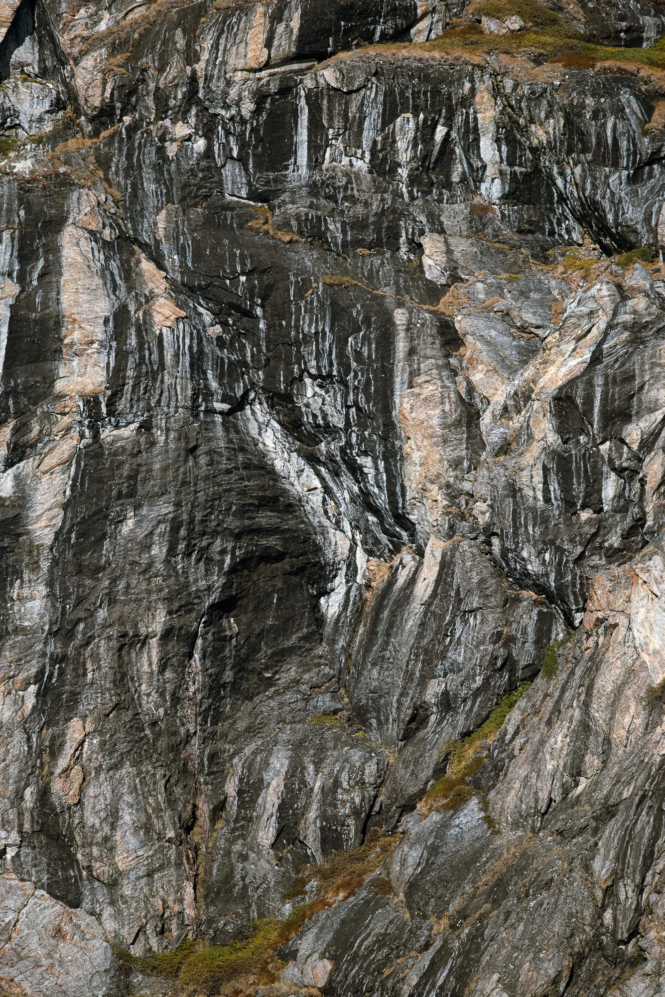 Cliffside Details III