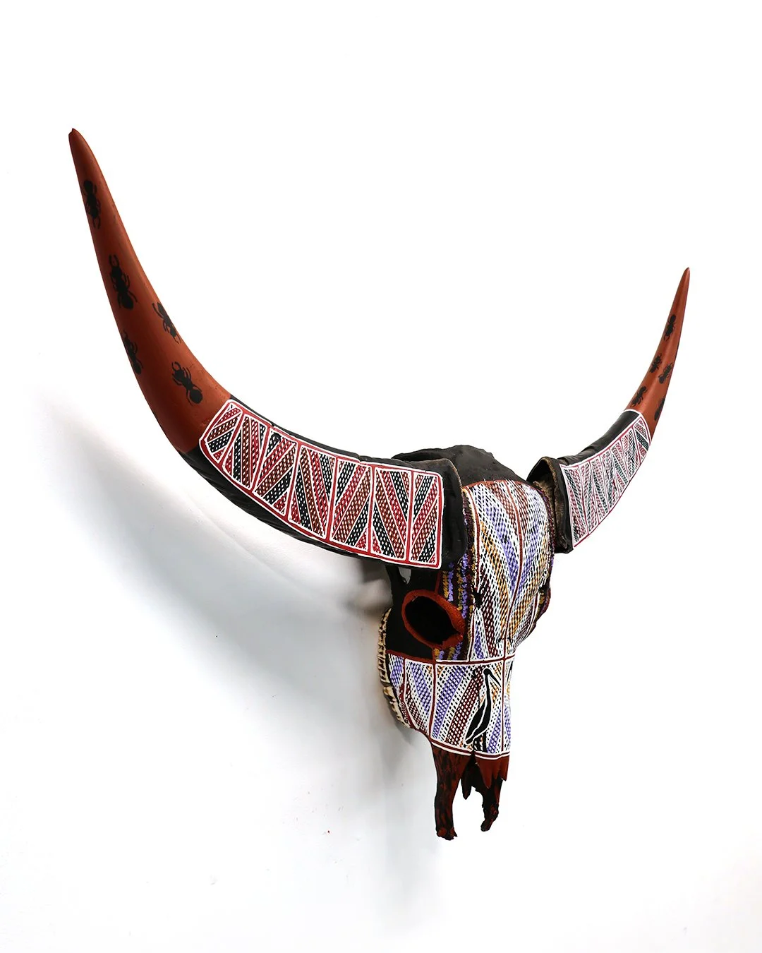 Luke Djalgarrarra buffalo skull3 100cm x 80cm x 20cm.jpg