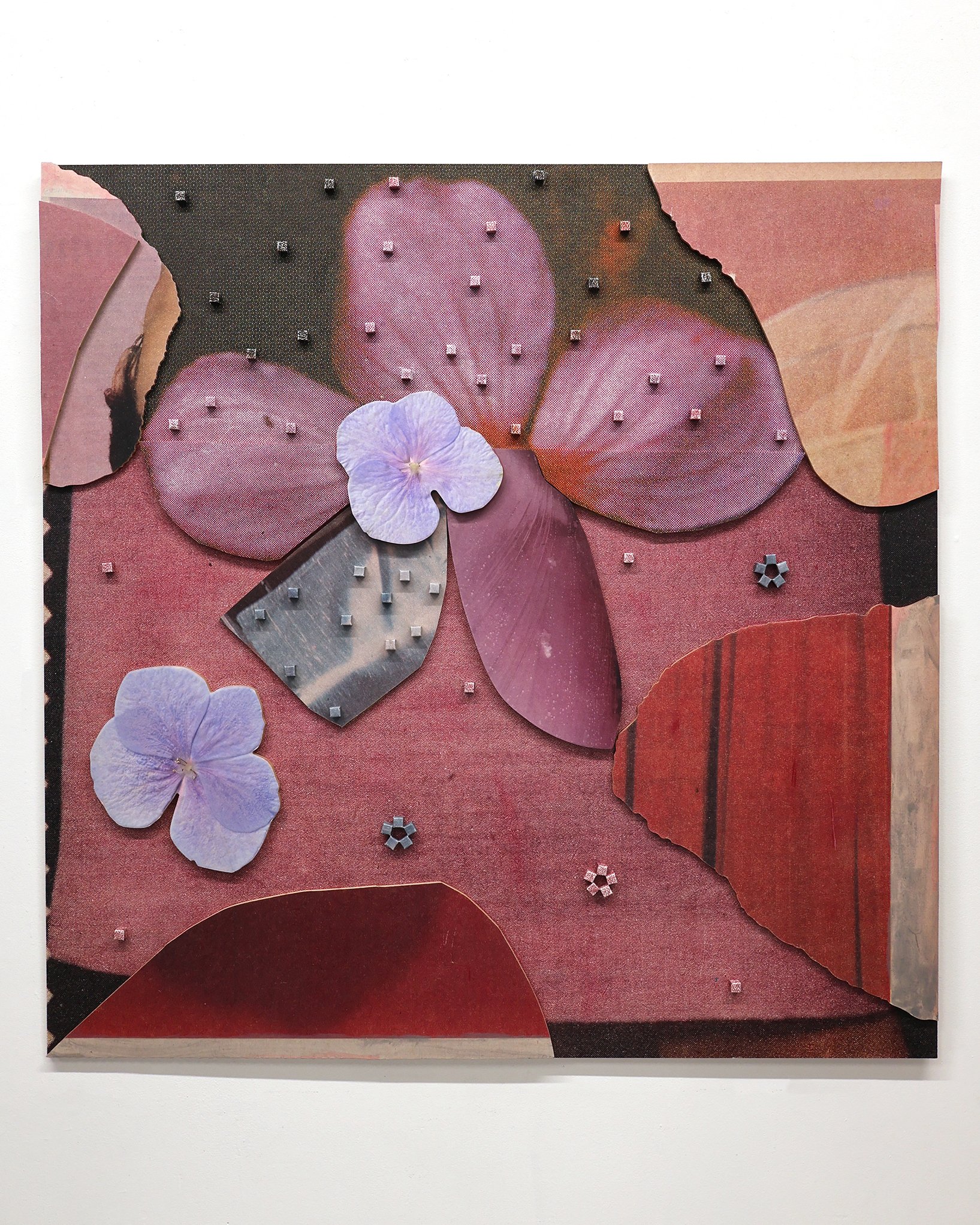 Maisy 100cm x 100cm Kitty Callaghan 2025.jpg