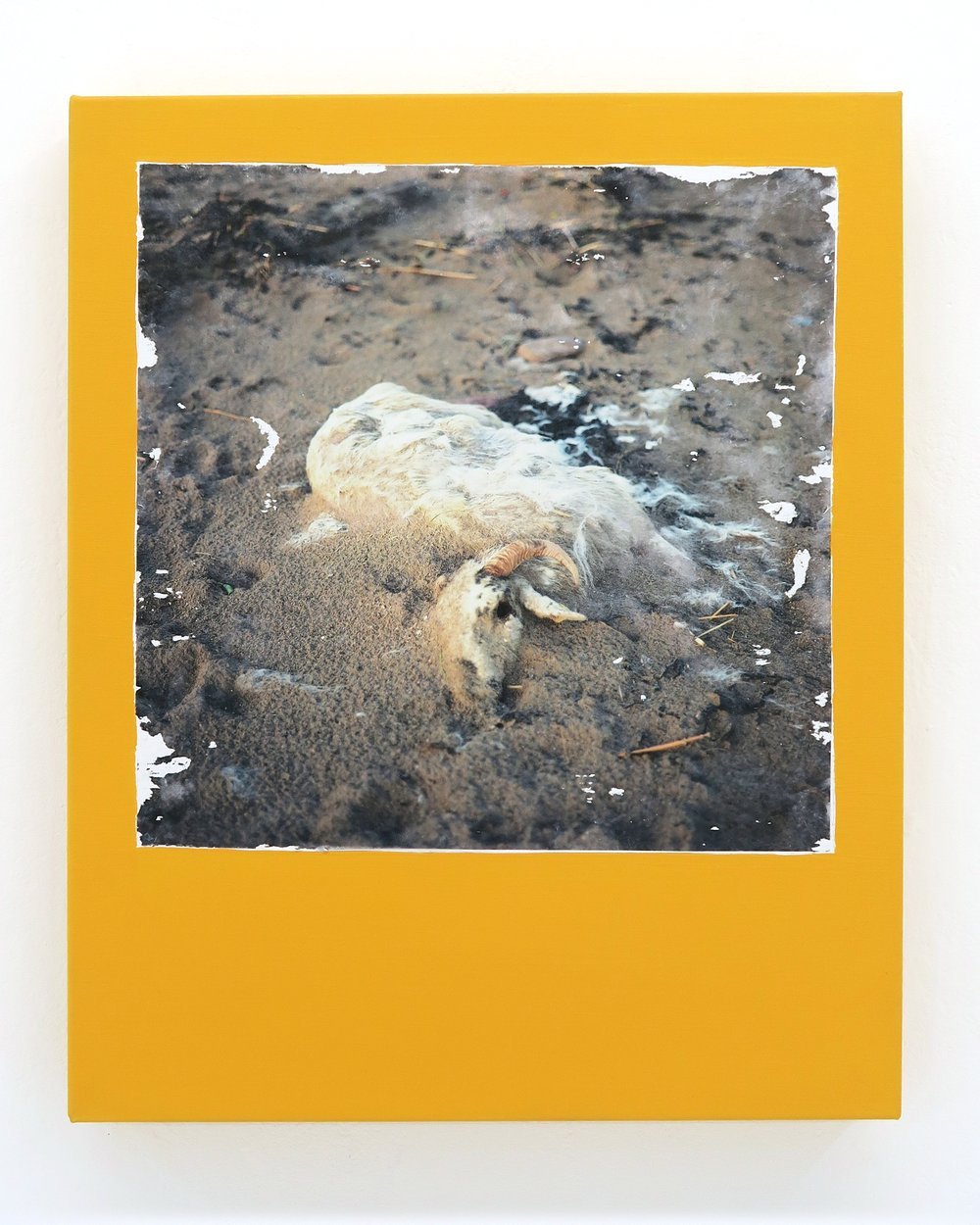 Jarryd+Lynagh+Dust+to+Dust+Gel+Medium+Transfer_+Synthetic+Polymer+on+Polycotton+41cm+x+51cm+2023.jpeg