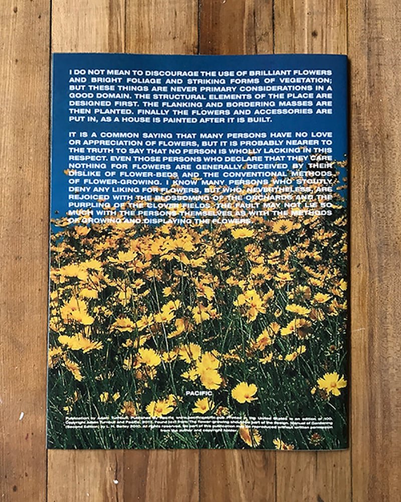 FOUND-FLOWERS_6.jpeg