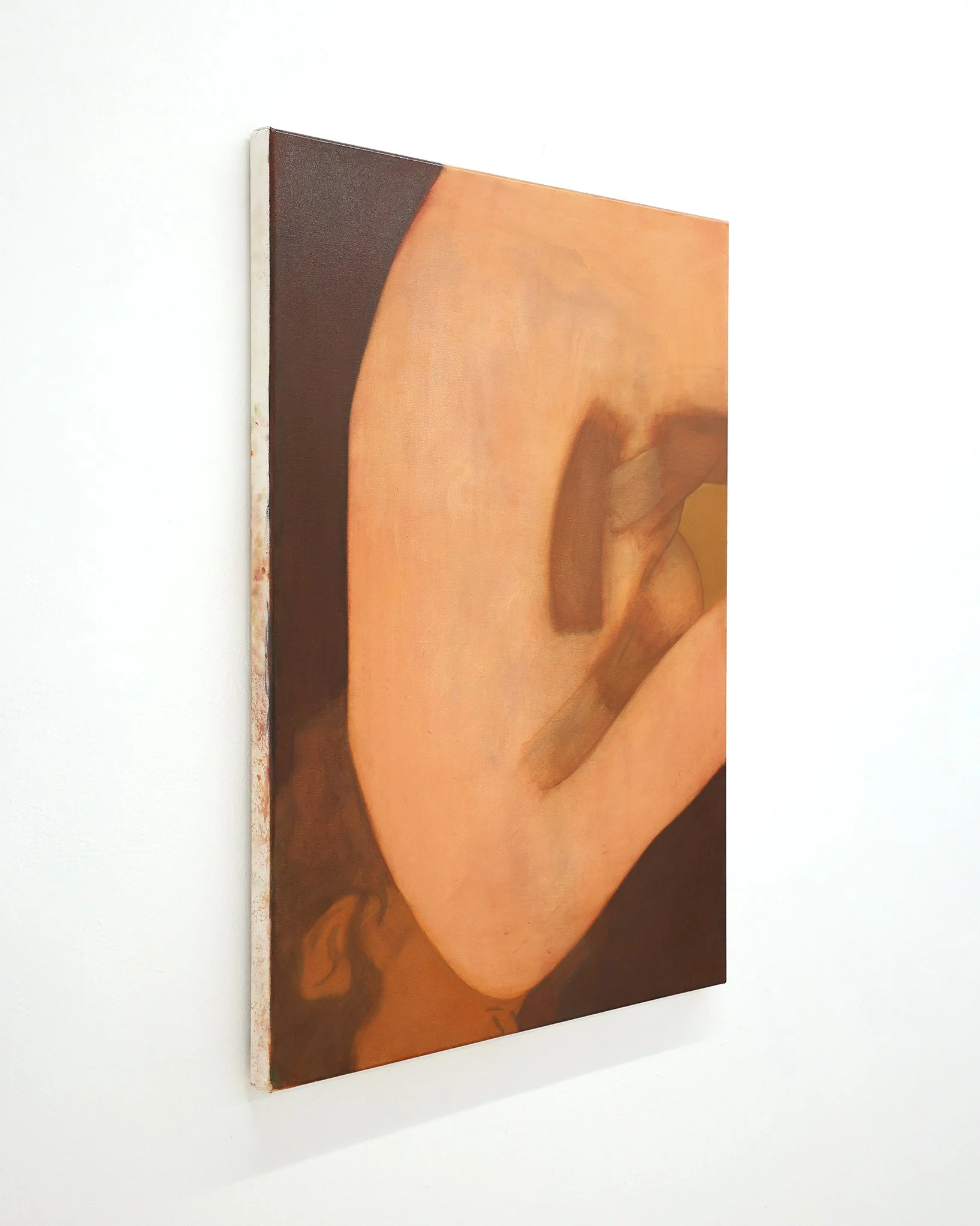 Hugh Van Schaick One and the same 76.5cm x 102cm Oil on canvas 2026 LHS.JPG