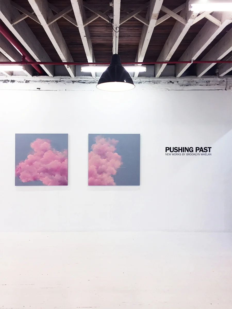 Pushing Past Room detail - Brooklyn Whelan 2017