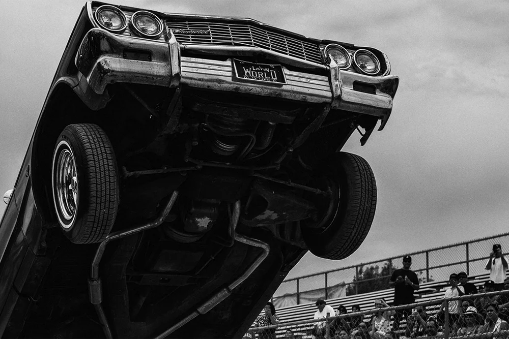 Impala Giclée print 152cm x 127cm