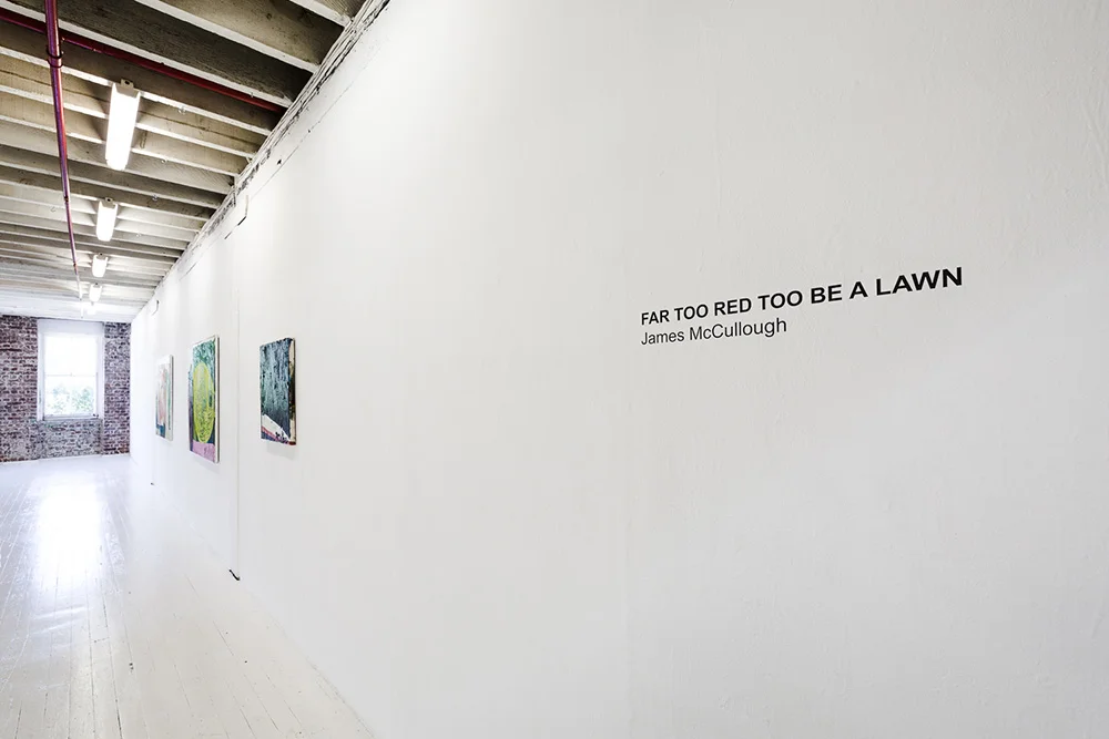 “Far too red to be a lawn” Room detail - James McCullough 2018