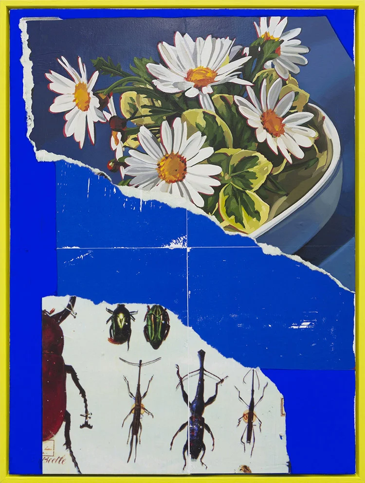 Beetle Ink transfer, flashe and oil on canvas 59cm x 79.5cm
