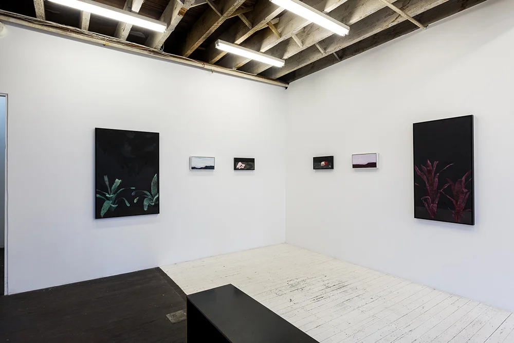 Noctua Room detail - Annalisa Ferraris 2019