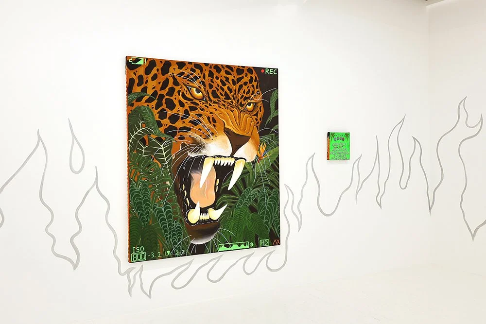 Alex Xerri Room Shots 1.JPG