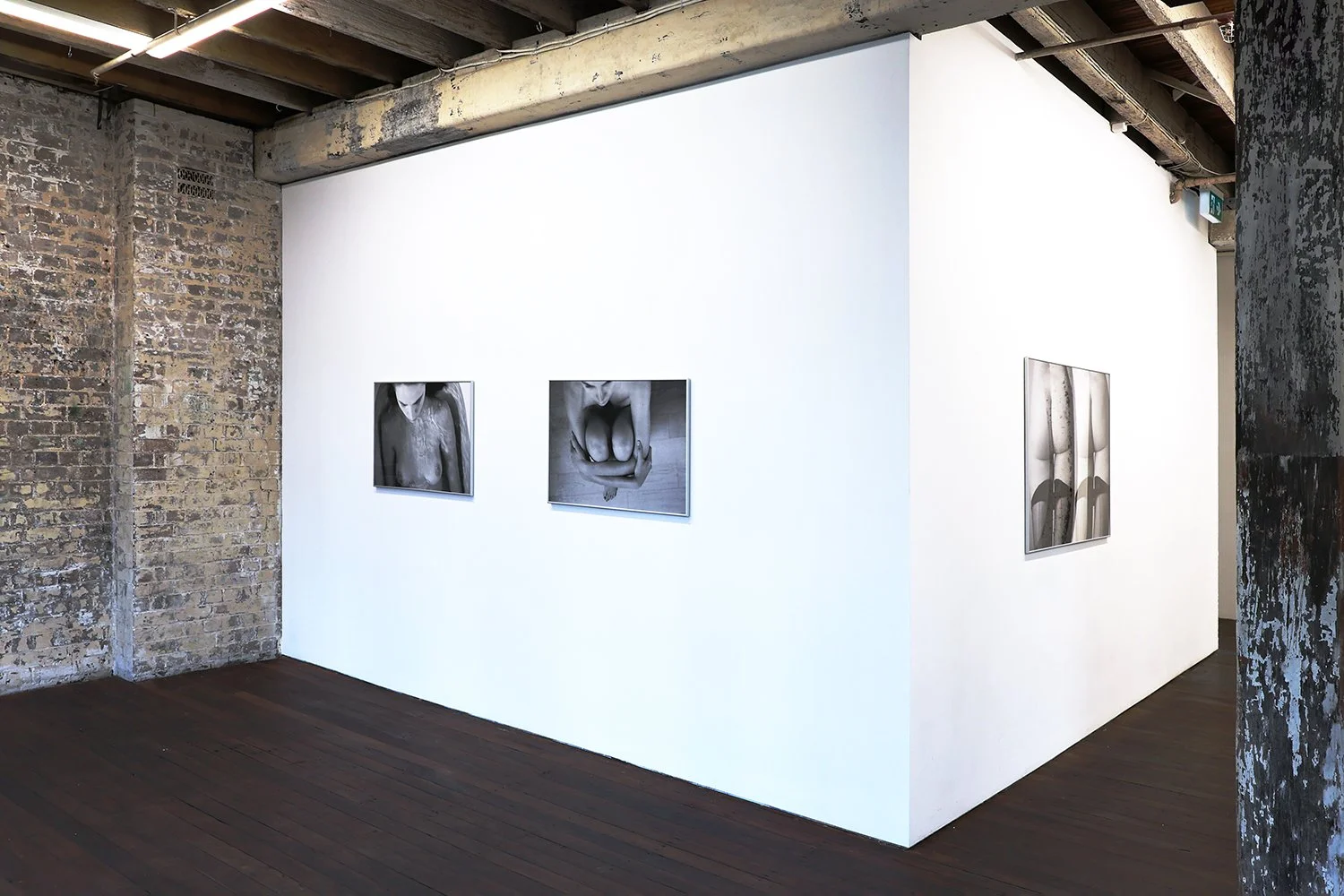 Ellen Virgona Monument Roomshots 6.JPG