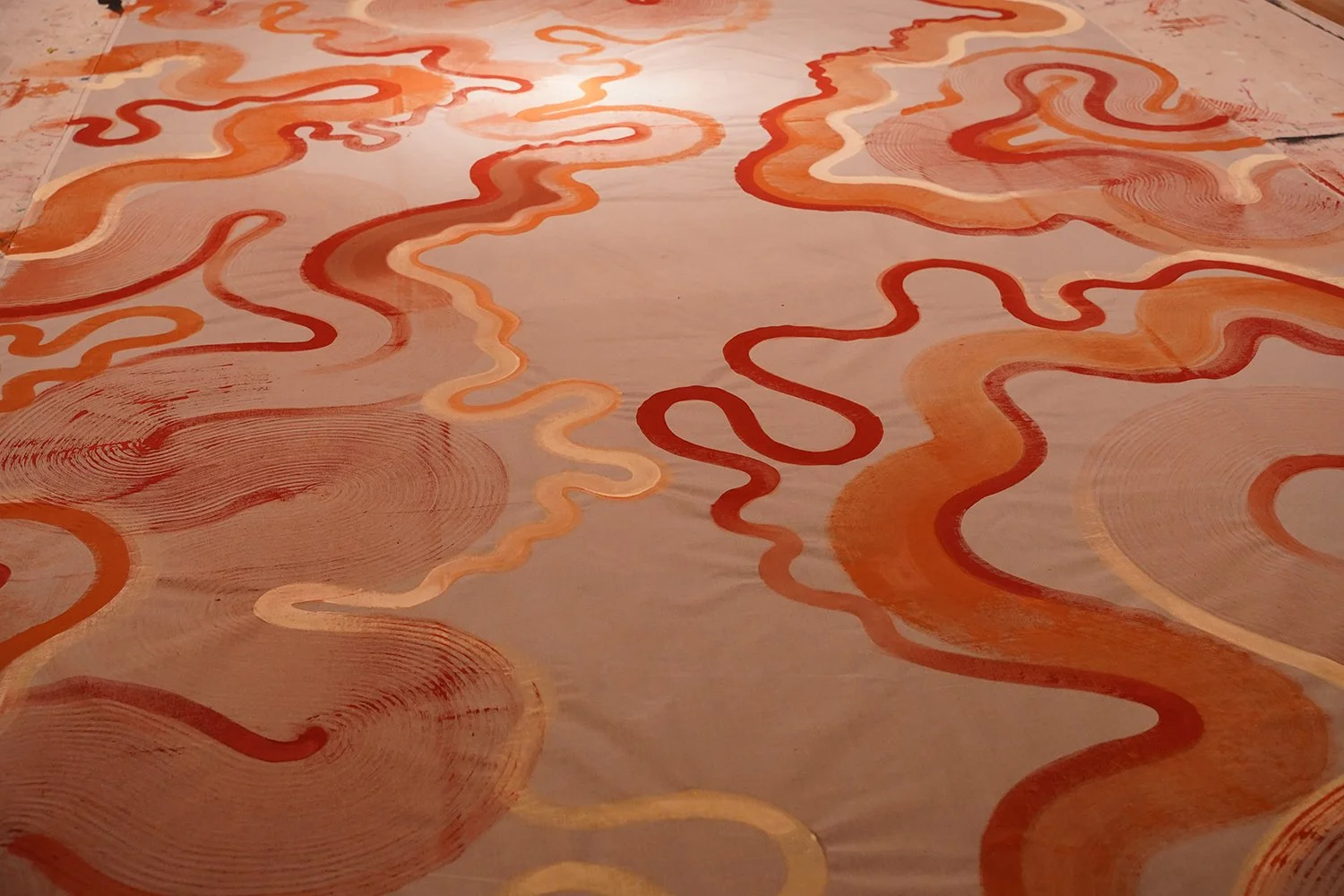 Shal AGNSW Install 8.JPG